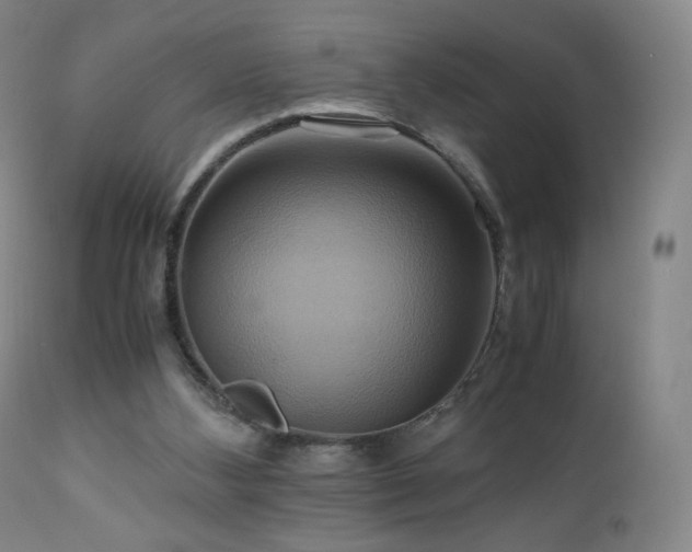 X0000110970108200906191344