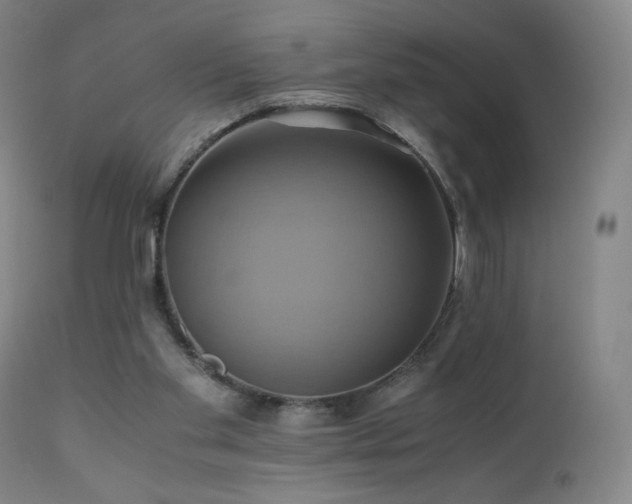 X0000110970109200906191344