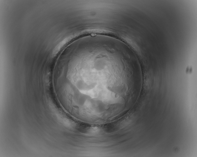 X0000110970111200906191344