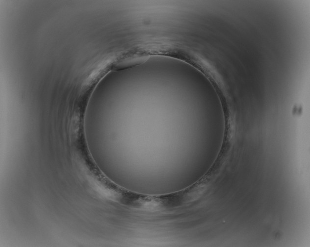 X0000110970113200906191344