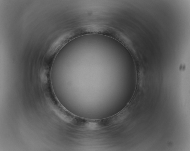 X0000110970114200906191344