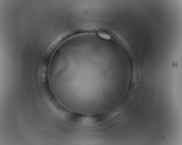 X0000110970115200906191344