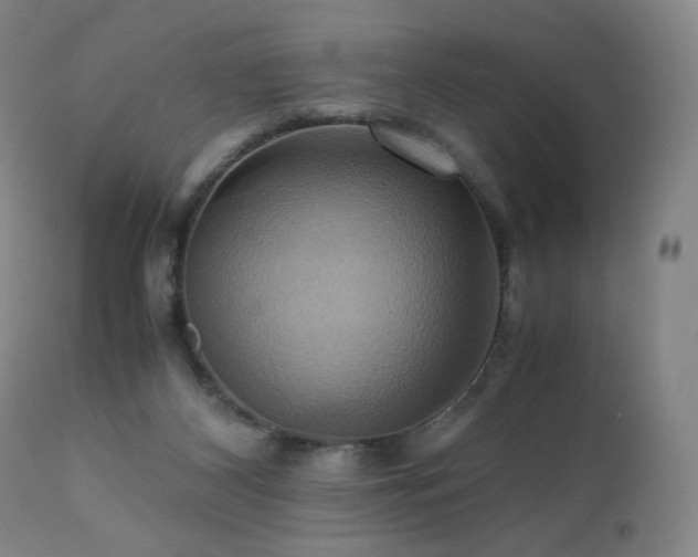 X0000110970116200906191344