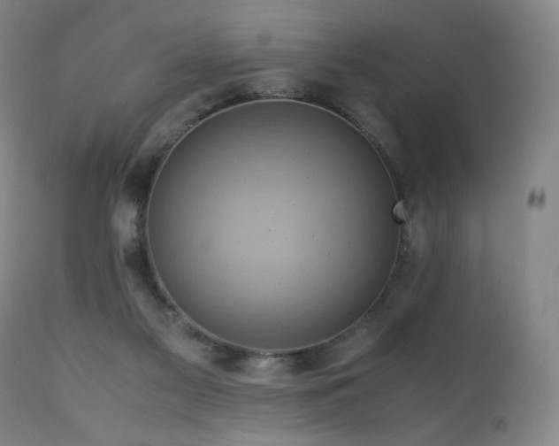 X0000110970117200906191344