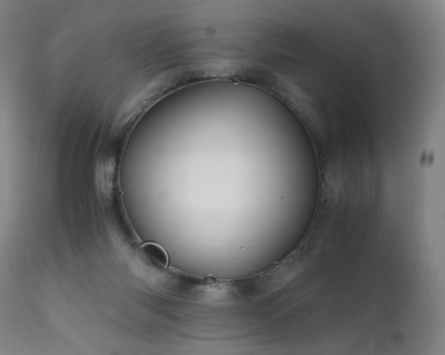 X0000110970118200906191344