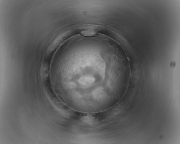 X0000110970119200906191344