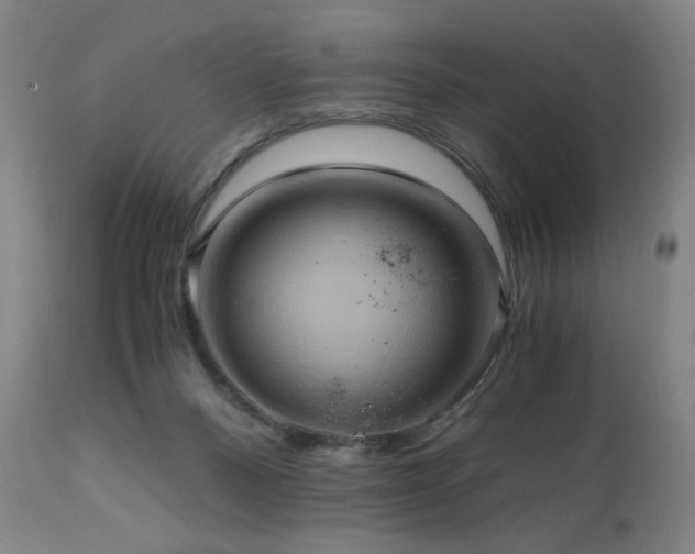 X0000110970120200906191344