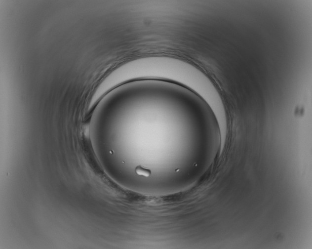 X0000110970121200906191344