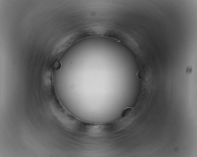 X0000110970122200906191344