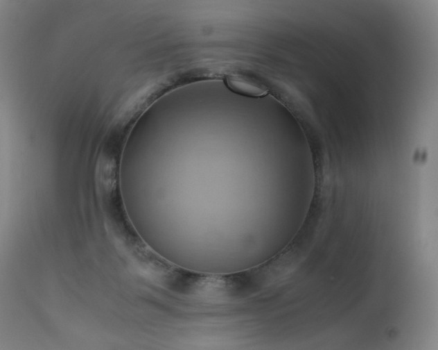 X0000110970123200906191344