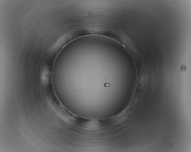 X0000110970124200906191344