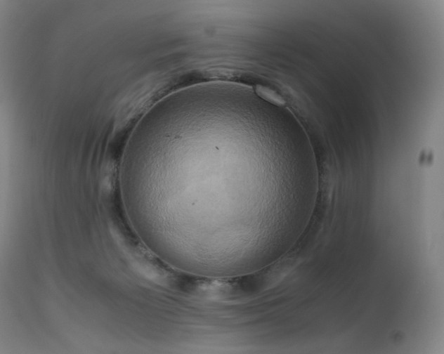 X0000110970125200906191344