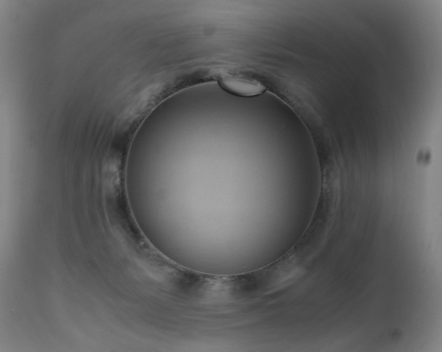 X0000110970127200906191344