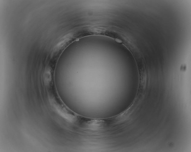 X0000110970128200906191344