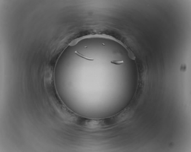 X0000110970129200906191344