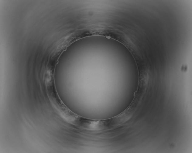 X0000110970130200906191344