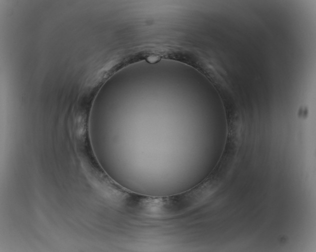 X0000110970131200906191344