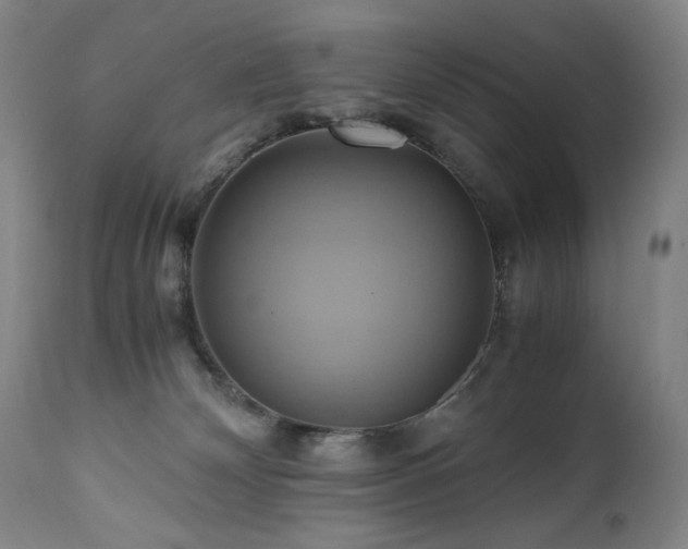 X0000110970132200906191344