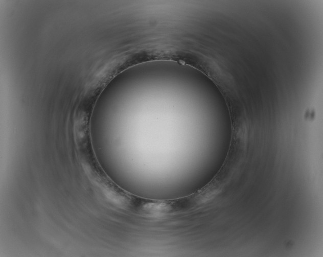 X0000110970133200906191344