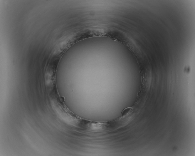 X0000110970134200906191344