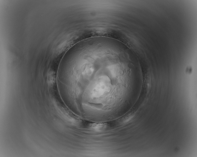 X0000110970135200906191344