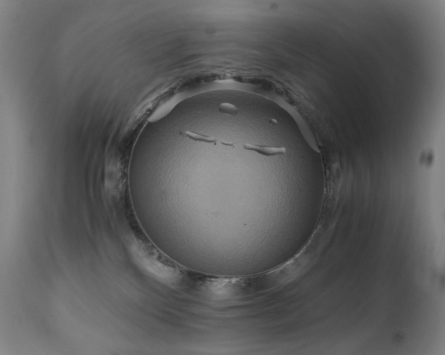 X0000110970136200906191344