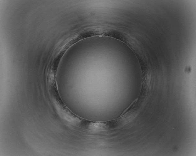 X0000110970137200906191344