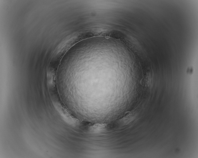 X0000110970138200906191344