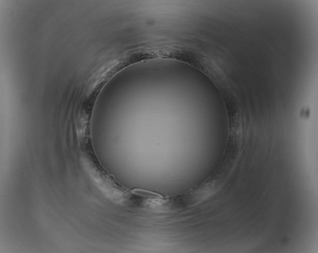 X0000110970139200906191344