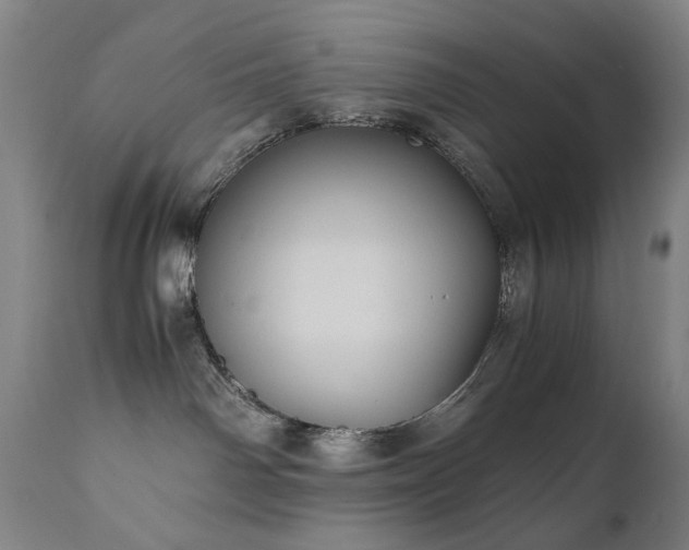 X0000110970142200906191344