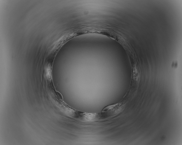 X0000110970143200906191344