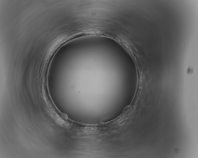 X0000110970145200906191343