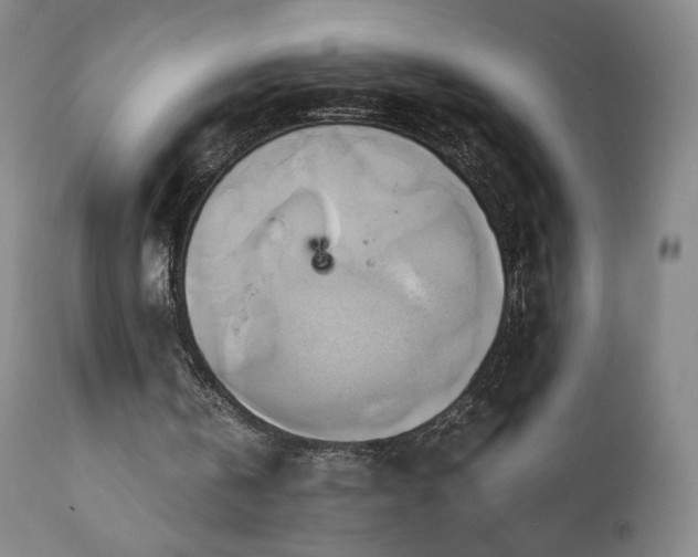 X0000110970146200906191343