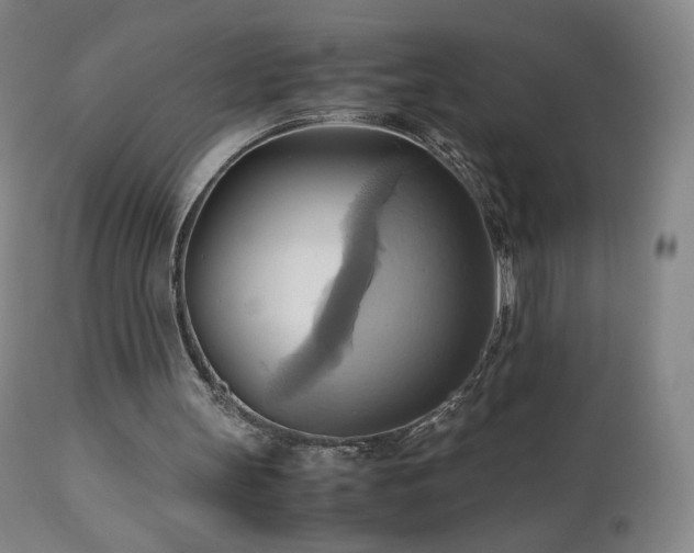 X0000110970147200906191343