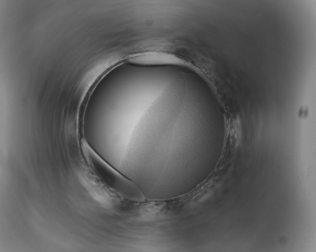 X0000110970148200906191343