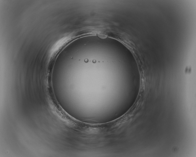 X0000110970149200906191343