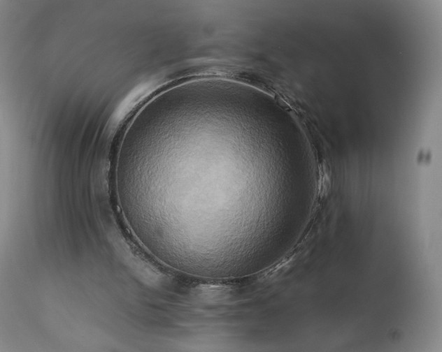 X0000110970150200906191343