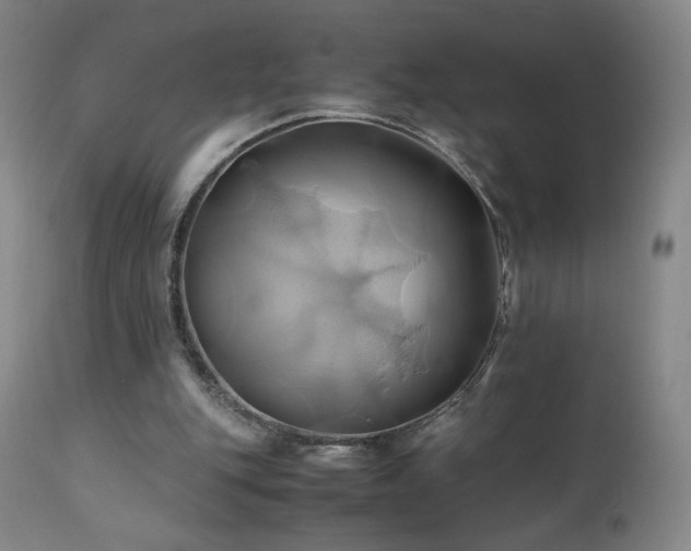 X0000110970151200906191343