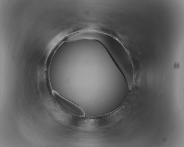 X0000110970152200906191343