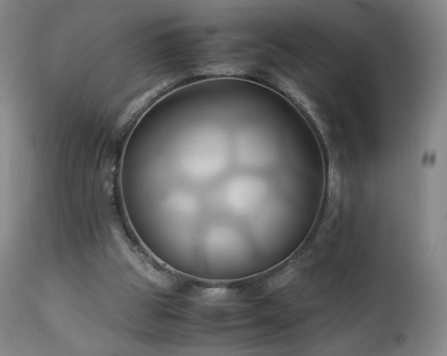 X0000110970153200906191343