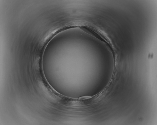 X0000110970154200906191343