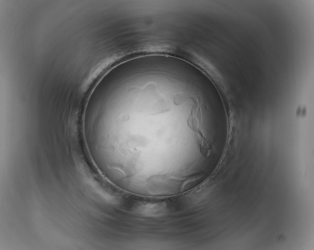 X0000110970155200906191343