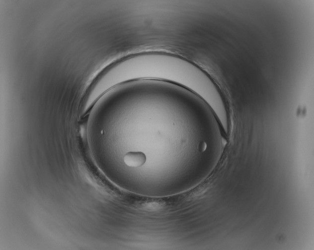 X0000110970156200906191343