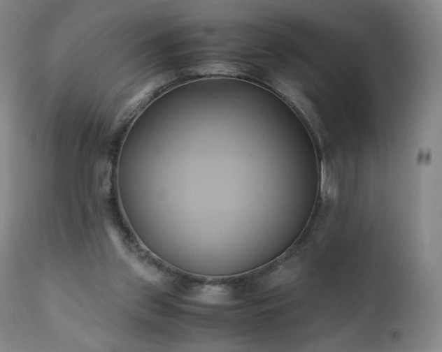 X0000110970157200906191343