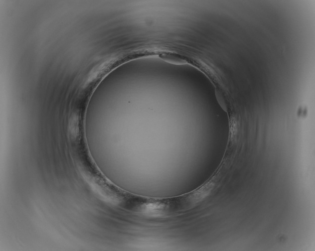 X0000110970158200906191344