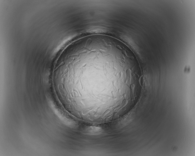 X0000110970159200906191344