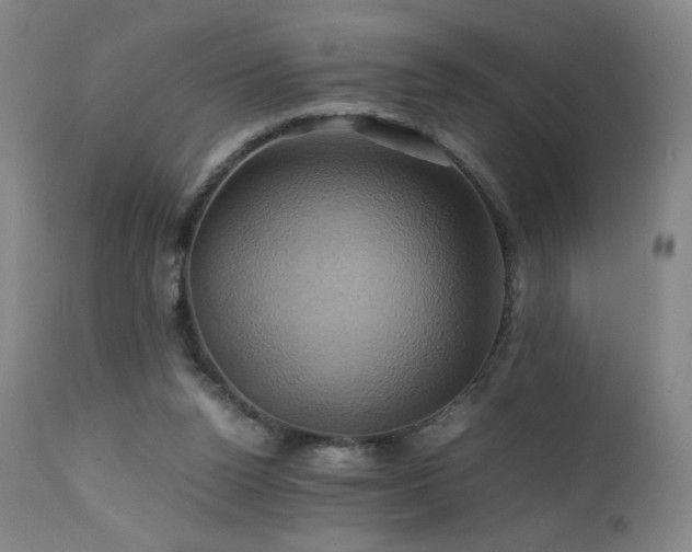 X0000110970160200906191344