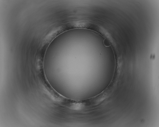 X0000110970161200906191344