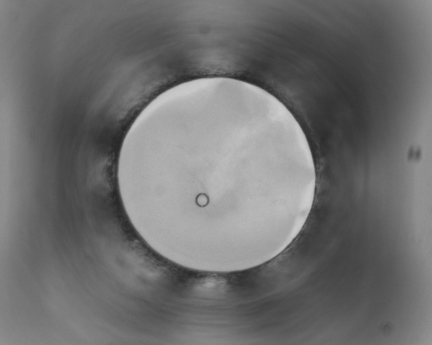 X0000110970162200906191344