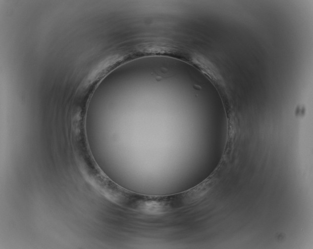 X0000110970163200906191344